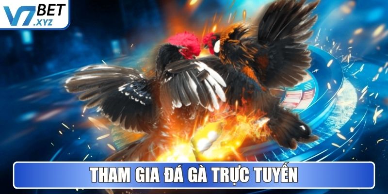 Tham gia Đá Gà trực tuyến
